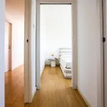 Zanelli
